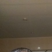  ,   David, 37 ,   ,   , c 