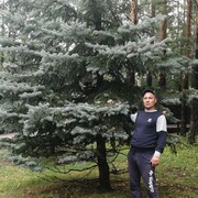 ���������� ��������, ���� ������� �������, 44 ����, ������������ ��� ������, ����� � ���������, c�������� ���������