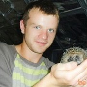 ���������� �����, ���� ������� ������, 36 ���, ������������ ��� ������, ����� � ���������, c�������� ���������, ���������