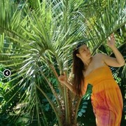 ���������� ������, ���� ������� ��������, 36 ���, ������������ ��� ������, ����� � ���������