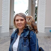  ,   , 43 ,   ,   
