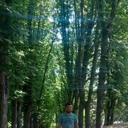 ���������� �����������, ���� ������� ������, 31 ���, ������������ ��� ������, ����� � ���������