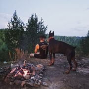 ���������� �����������, ���� ������� ������, 30 ���, ������������ ��� ������, ����� � ���������, c�������� ���������