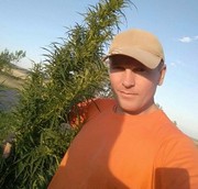 ���������� �������, ���� ������� �����, 46 ���, ������������ ��� ������, ����� � ���������, c�������� ���������