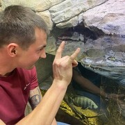 ���������� ������������, ���� ������� �������, 30 ���, ������������ ��� ������, ����� � ���������