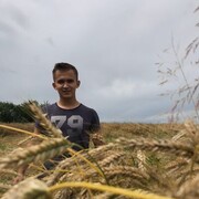  ,   , 24 ,   ,   