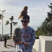 ���������� ������, ���� ����� ����, 24 ����, ������������ ��� ������, ����� � ���������, c�������� ���������