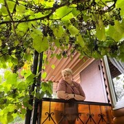  ,   , 55 ,     