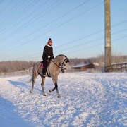 ���������� ������, ���� ������� �����, 44 ����, ������������ ��� ������, ����� � ���������