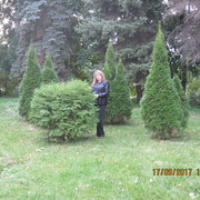   ,   , 44 ,     , c 