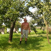  ,   , 71 ,   