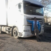 ���������� ����, ���� ������� �����, 47 ���, ������������ ��� ������, ����� � ���������, c�������� ���������, ���������