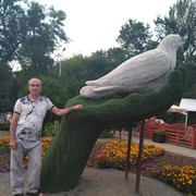 ���������� ������������, ���� ������� �������, 62 ����, ������������ ��� ������, ����� � ���������, c�������� ���������