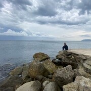  -,   , 39 ,   ,   