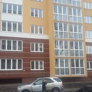 Elena, Калининград