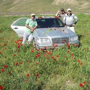 ���������� ���������, ���� ������� �����, 52 ����, ������������ ��� ������, ����� � ���������, c�������� ���������, ���������