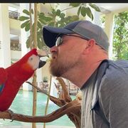  ,   Dan, 42 ,     , c 