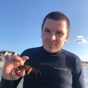  Kiel,    ˸, 29 ,   ,   , c , 