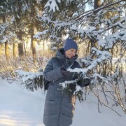 ���������� �����, ���� ������� �����, 59 ���, ������������ ��� c�������� ���������