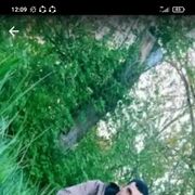  ,  , 25
