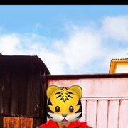 ���������� ������, ���� ����� �����, 23 ����, ������������ ��� ������, ����� � ���������, c�������� ���������