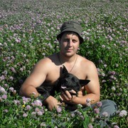 ���������� ���������, ���� ������� ��������, 43 ����, ������������ ��� ����� � ���������, c�������� ���������