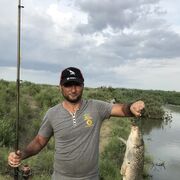 ���������� ����������, ���� ������� ������, 39 ���, ������������ ��� ������, ����� � ���������