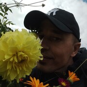 ���������� �������, ���� ������� ����������, 42 ����, ������������ ��� ������, ����� � ���������, c�������� ���������