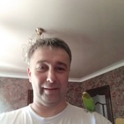 ,   , 52 ,     , c 