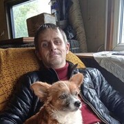 ���������� �������, ���� ������� Kind rabbit, 43 ����, ������������ ��� ������, ����� � ���������, c�������� ���������, ���������