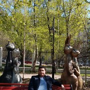 ���������� ������, ���� ������� ����, 41 ���, ������������ ��� ������, ����� � ���������, c�������� ���������