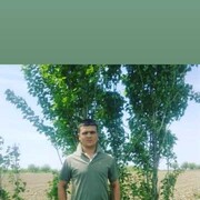 ���������� �����������, ���� ������� Shox, 35 ���, ������������ ��� ������, ����� � ���������, c�������� ���������