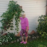  -,    , 61 ,     , c 
