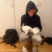 ���������� �����-���������, ���� ����� ���, 21 ���, ������������ ��� ������, ����� � ���������, ���������