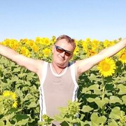 ���������� ������������, ���� ������� ������, 56 ���, ������������ ��� c�������� ���������