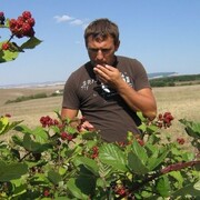 ���������� ������, ���� ������� ������, 42 ����, ������������ ��� ����� � ���������, c�������� ���������, ���������