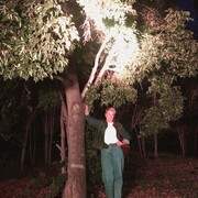 ���������� ���������, ���� ������� ��������, 56 ���, ������������ ��� c�������� ���������