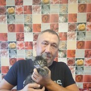  ,   , 54 ,   