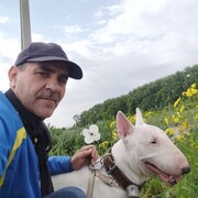 ���������� ����������, ���� ������� Wital, 48 ���, ������������ ��� ������, ����� � ���������