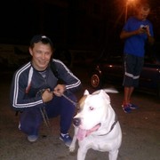  ,   IGOR, 42 ,   ,   , c 