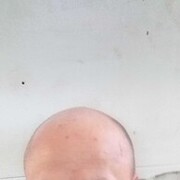 ���������� �����, ���� ������� ���������, 44 ����, ������������ ��� ����� � ���������, c�������� ���������