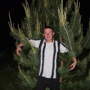 ���������� ���������, ���� ������� ϸ��, 37 ���, ������������ ��� ������, ����� � ���������, c�������� ���������