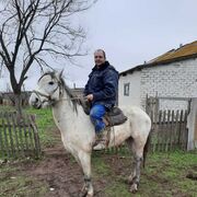 ���������� ���������, ���� ������� �������, 41 ���, ������������ ��� ������, ����� � ���������, c�������� ���������