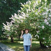  ,   , 75 ,     