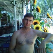  ,  volkodav, 44