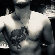 ���������� ������, ���� ������� �����, 43 ����, ������������ ��� ������, ����� � ���������