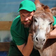 ���������� ������ ��������, ���� ������� ���������, 50 ���, ������������ ��� ������, ����� � ���������, c�������� ���������