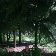  ,   Alex, 64 ,     , c 