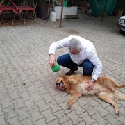  ,   Anton, 58 ,   ,   