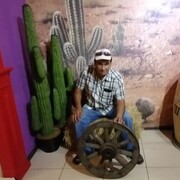 ���������� ���������, ���� ������� Damir, 53 ����, ������������ 